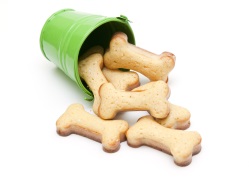 Dog Bone Biscuits