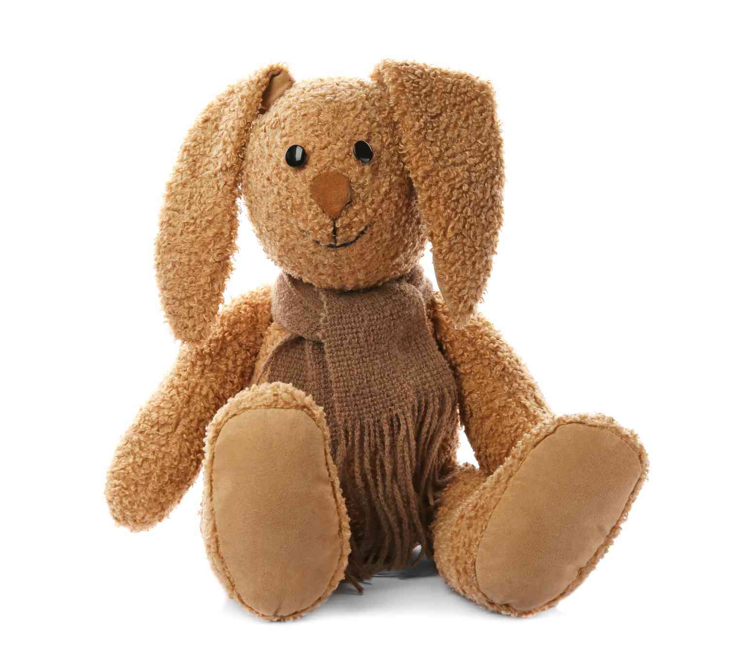 Stuffed Bunny Rabbit